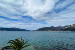 FB_IMG_1680690069712